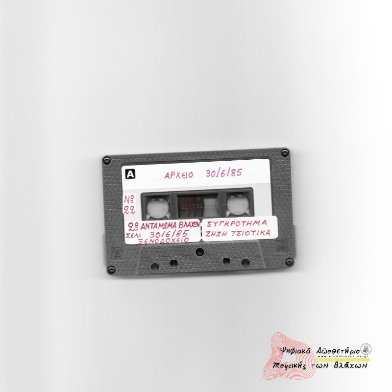  2ο Αντάμωμα Βλάχων Σέλι (2) - Συγκρότημα Ζήση Τσιότικα